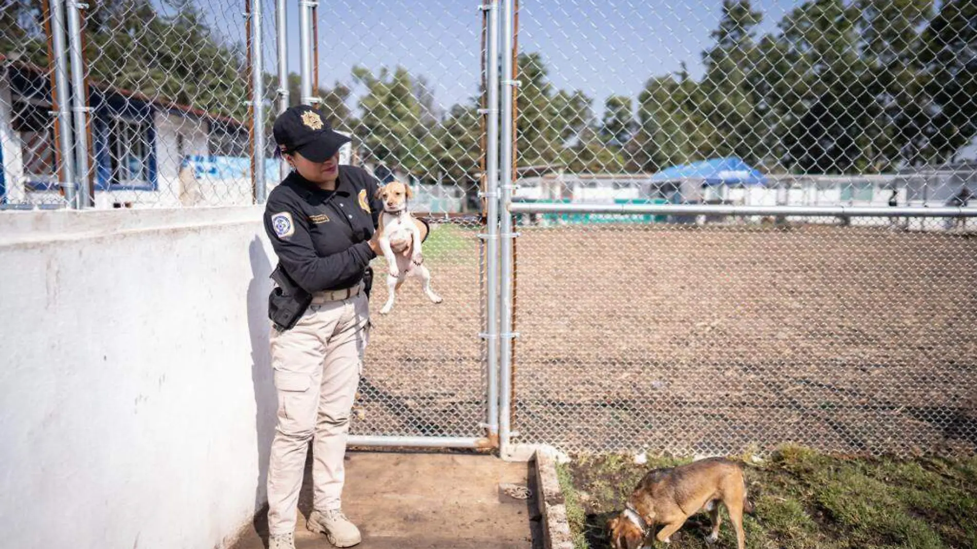 Brigada de Vigilancia Animal